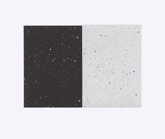Vija Celmins